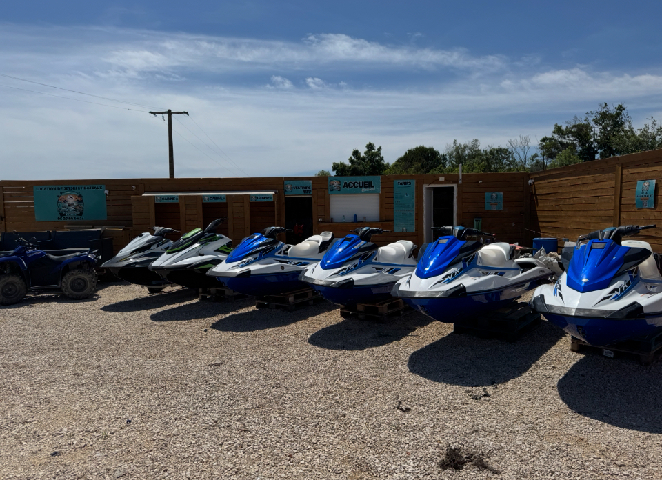 Camargue Excursions