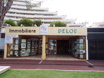 Immo Pelou