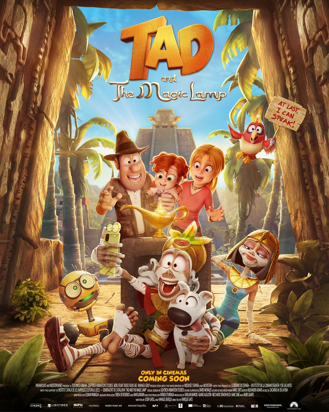 Affiche du film