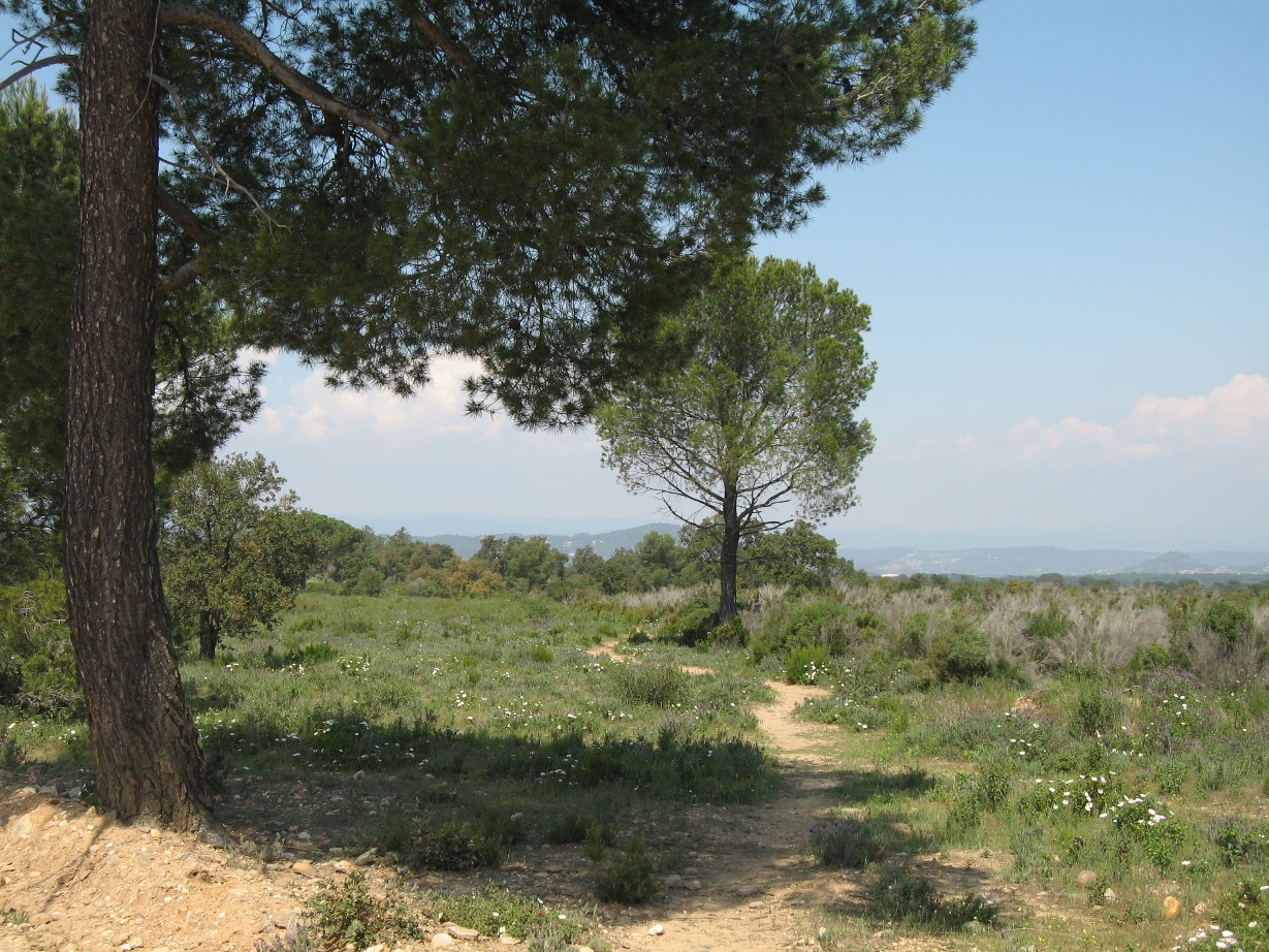 Plaine des Maures
