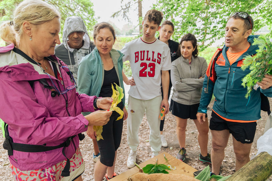 Survivalisme  - Manger les plantes