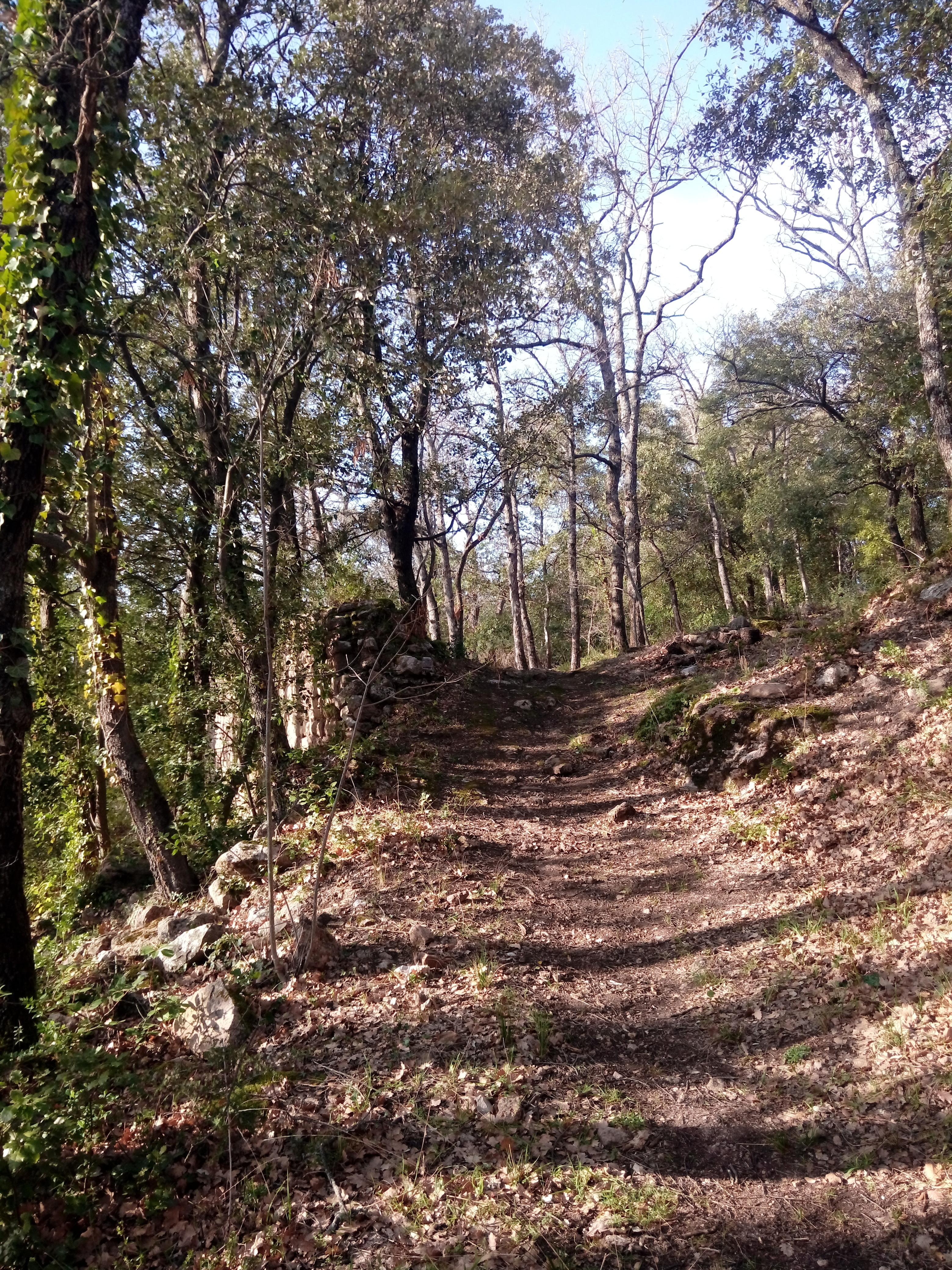 Randonnée "Le Castrum Saint-Michel", Trets - photo 11