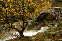 Jaujac - Pont Romain