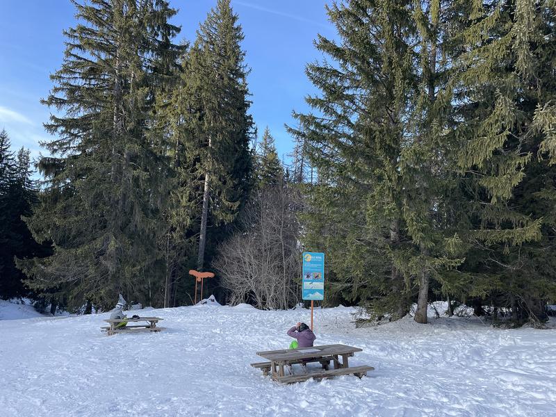 Aire de pique-nique sur Marvel_Morillon