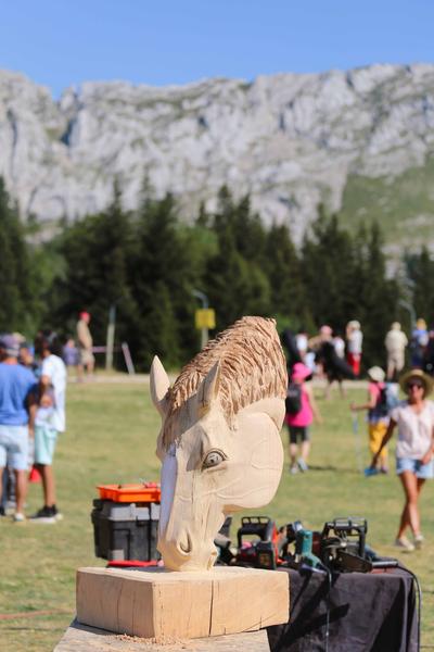 Fête de la montagne
