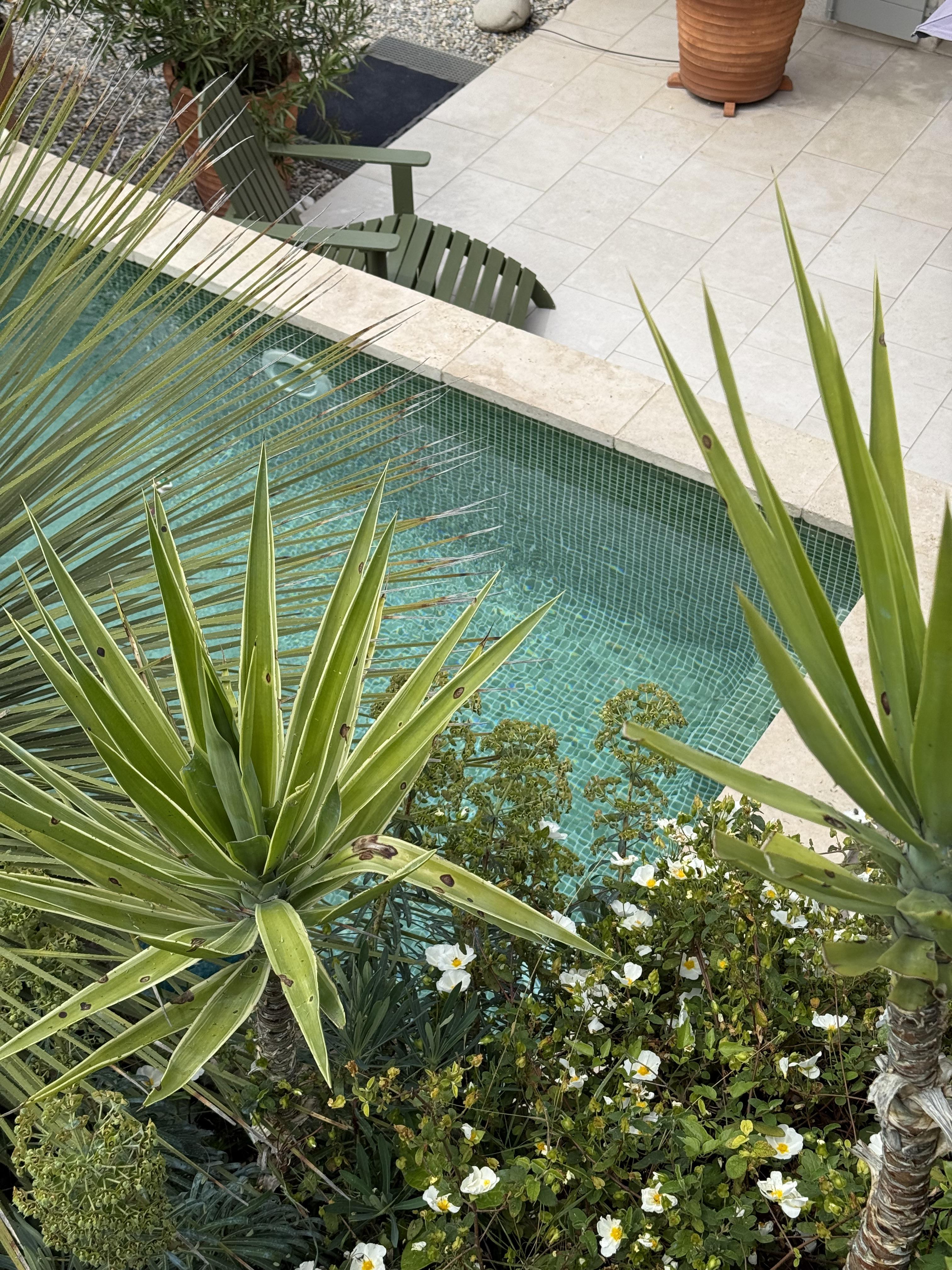 64 Le Mazet en Provence, Roquevaire - photo 9