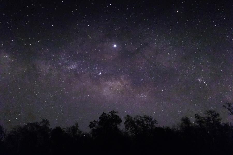 - © Freepik La Nuit des Étoiles_Serres - © Freepik