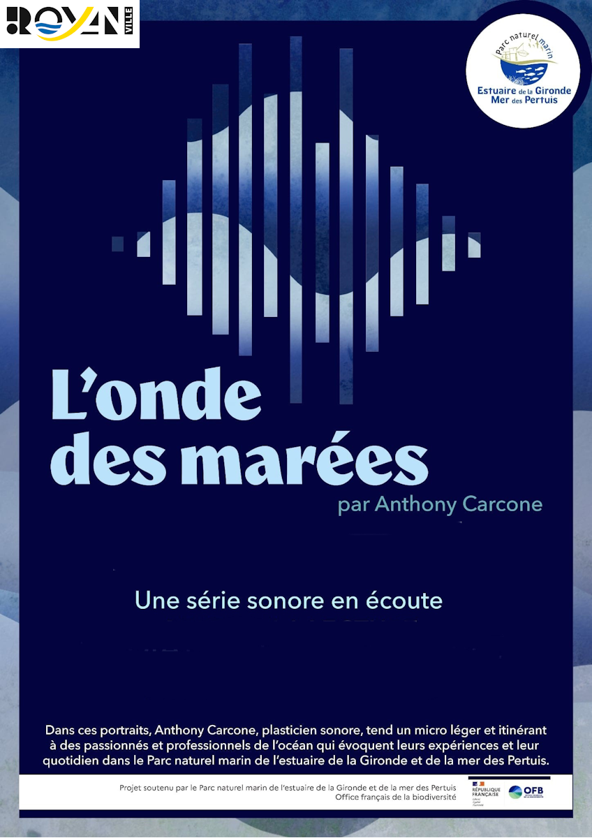 Animation sonore - L’onde des marées