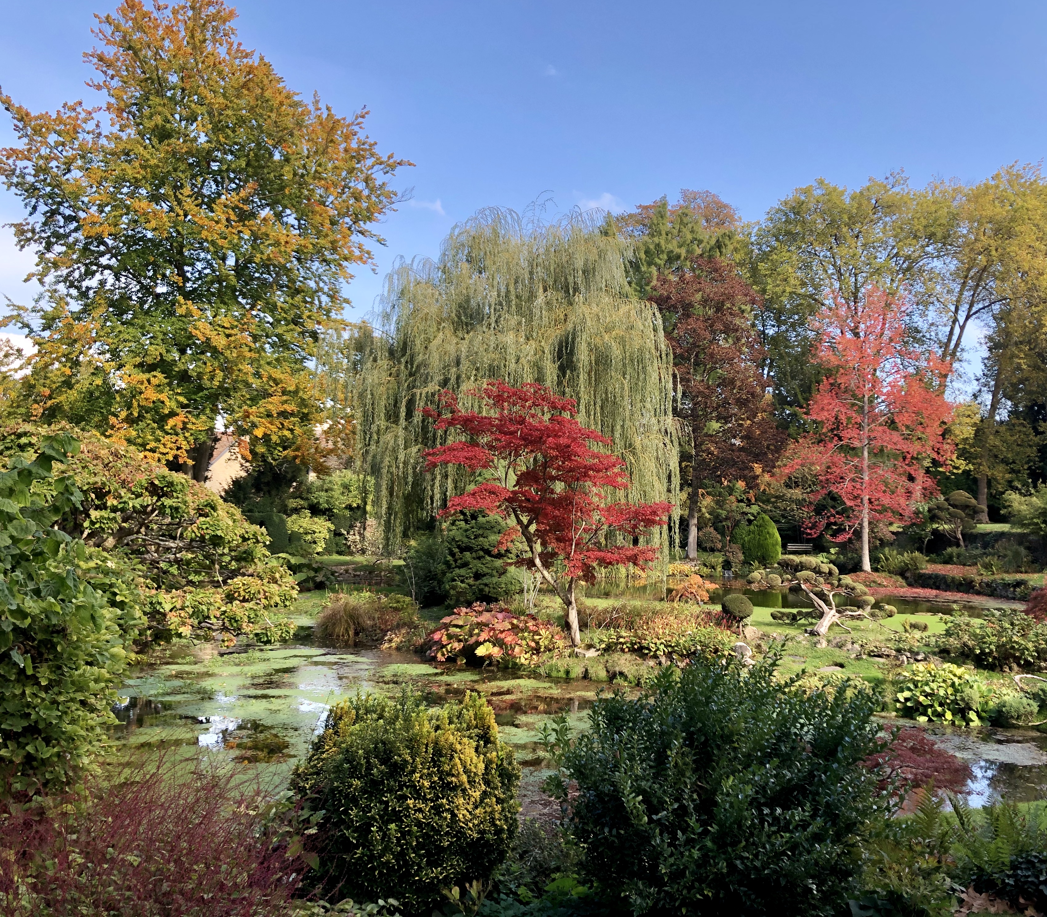 Le Jardin Japonais