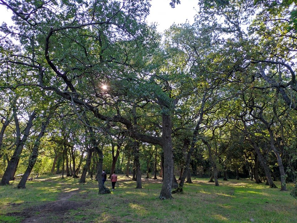 Éco-balade : Haies et bois à Entressen