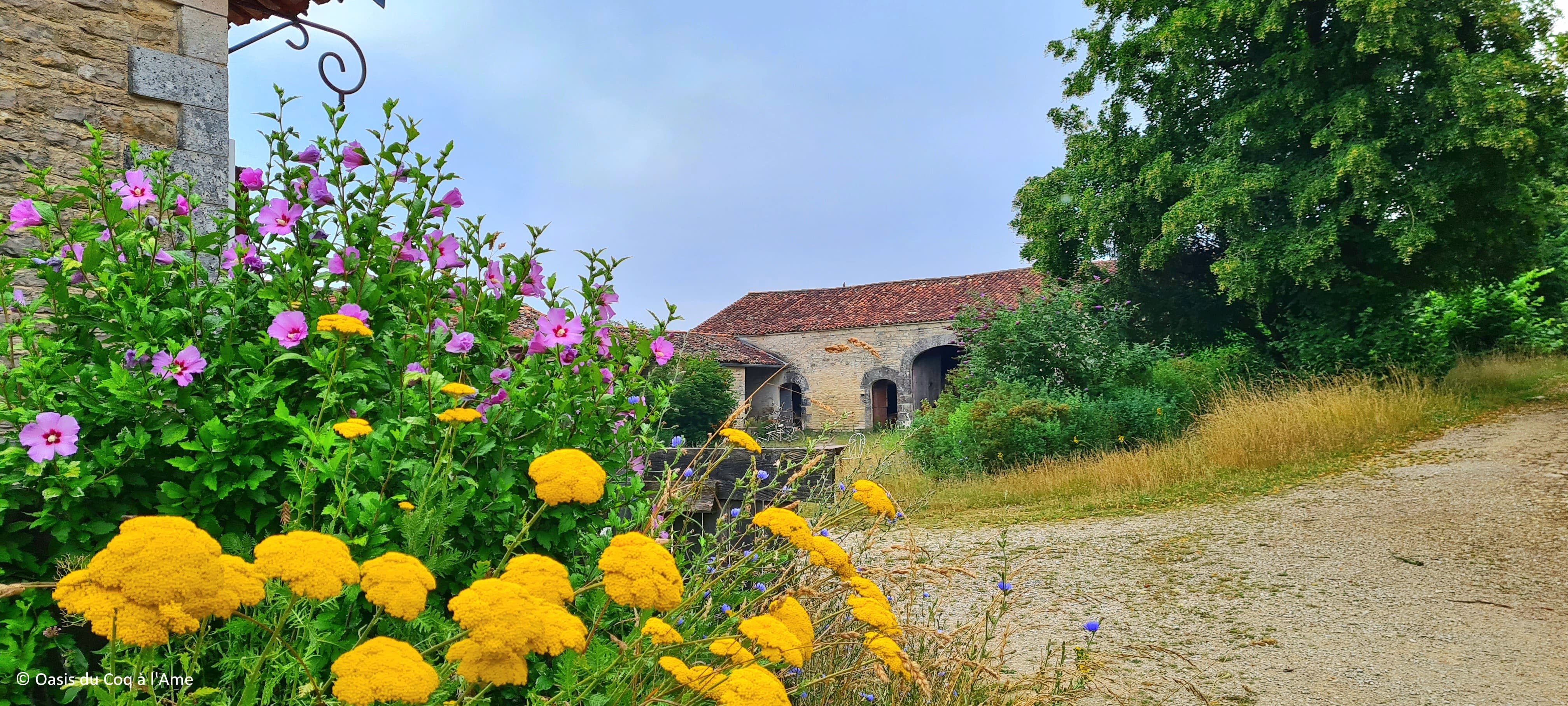 Balade biodiversité_Cellettes
