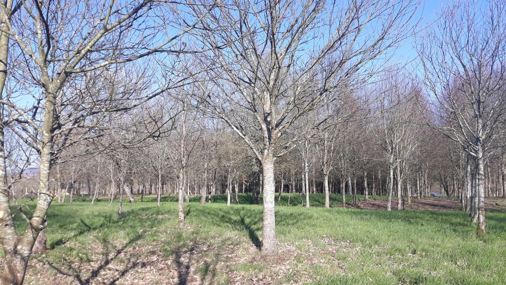 Écomusée Maison de Pays en Bresse