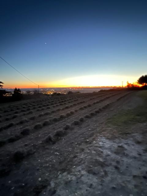 Sur les hauteurs d'Aix