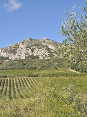 Circuit du Vallon des Glauges