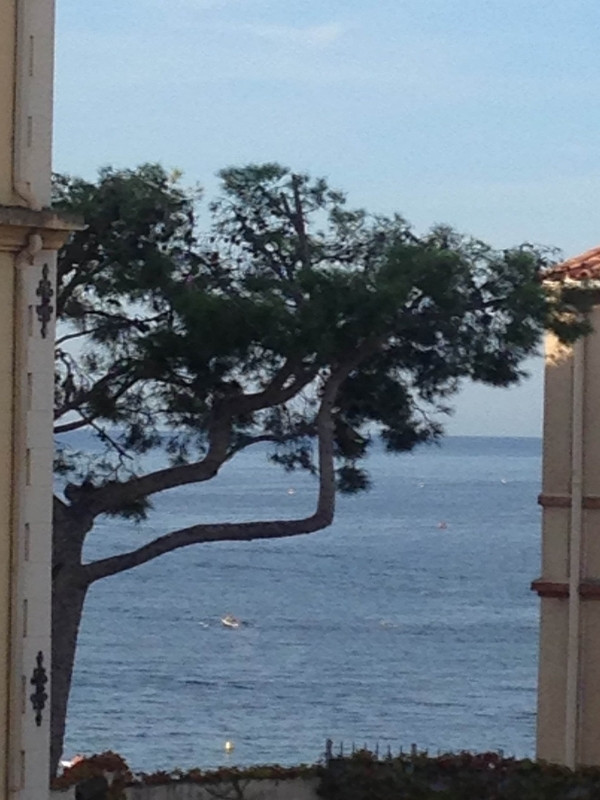LA MAISON BLEUE, Cassis - photo 6