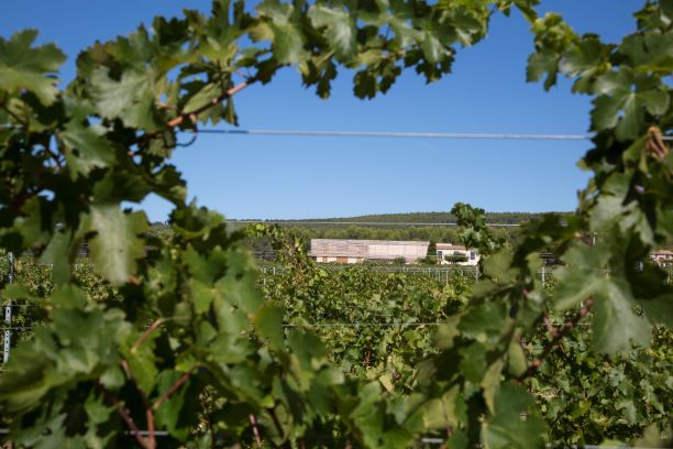 Domaine de Belambrée - photo 4