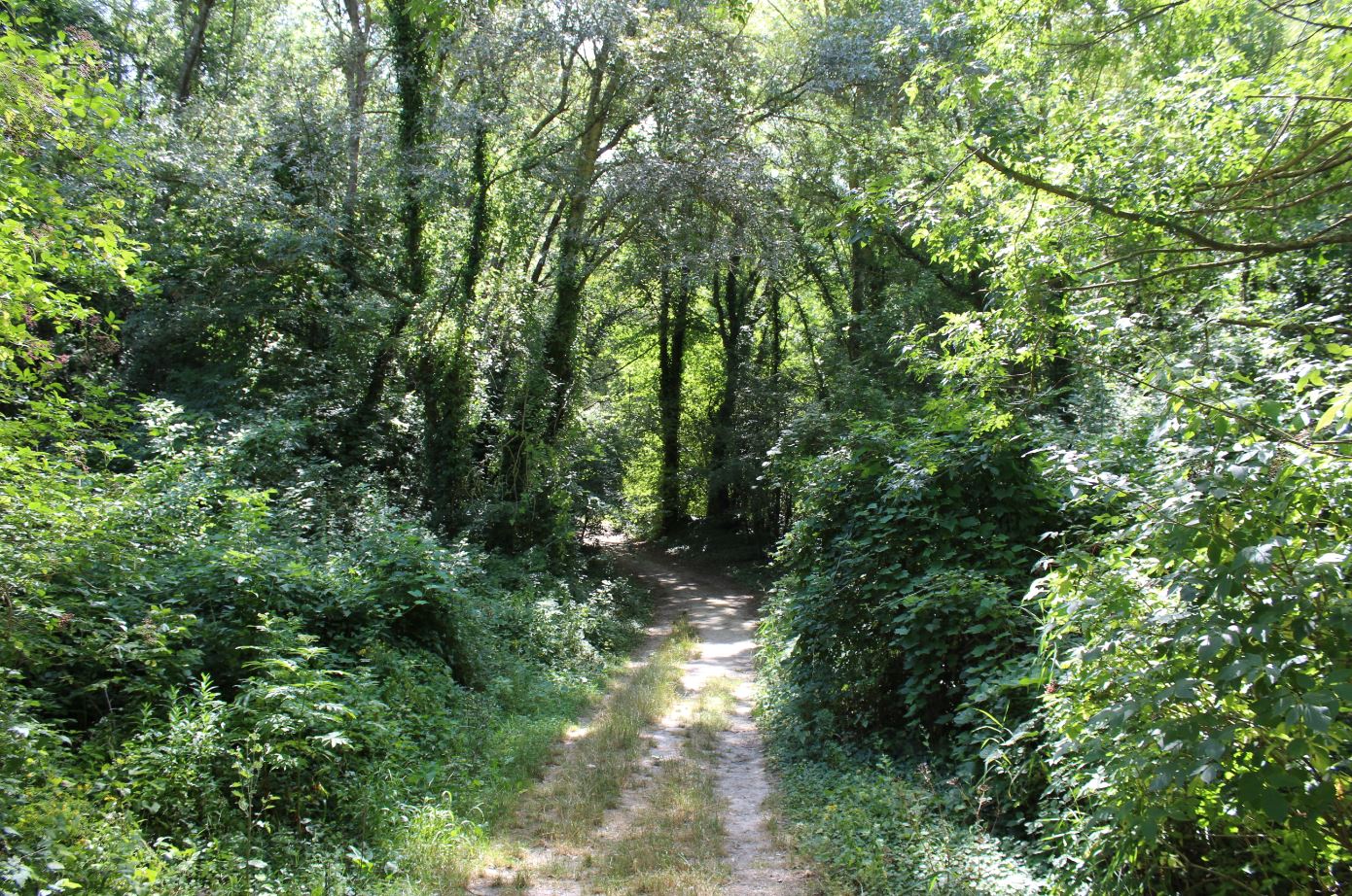 Balade en bord de Sorgue