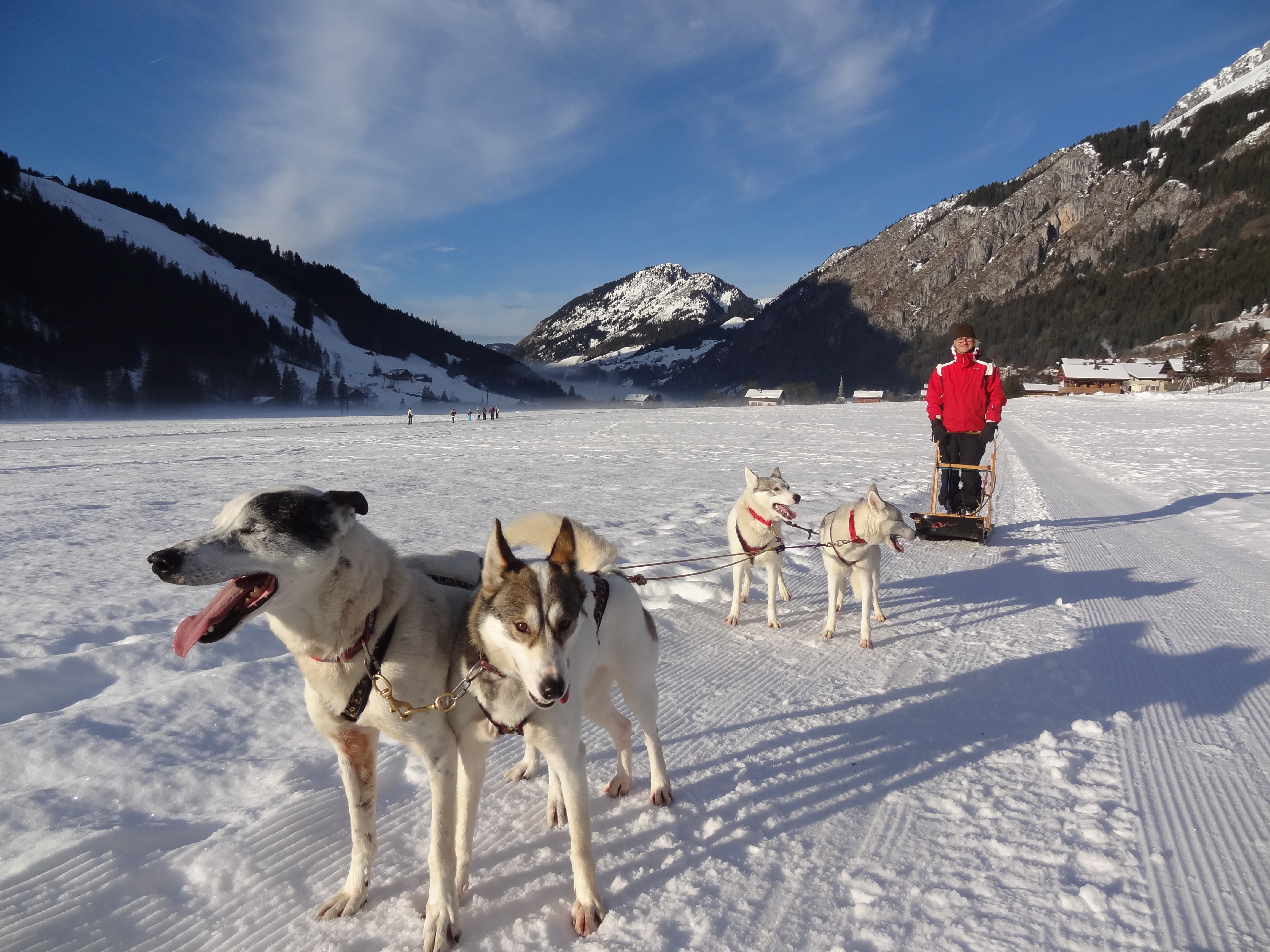 Introduction to driving a dog sled
