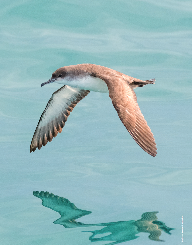 Exposition : Un océan sous pression