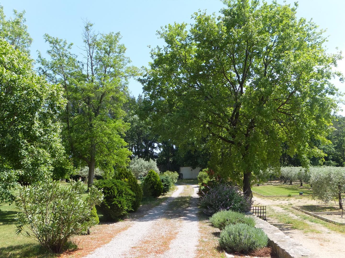 Le Clos Des Oliviers et la Tour, Saint-Cannat - photo 24