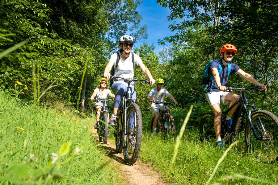 Balade VTT au coeur d'un massif forestier roannais