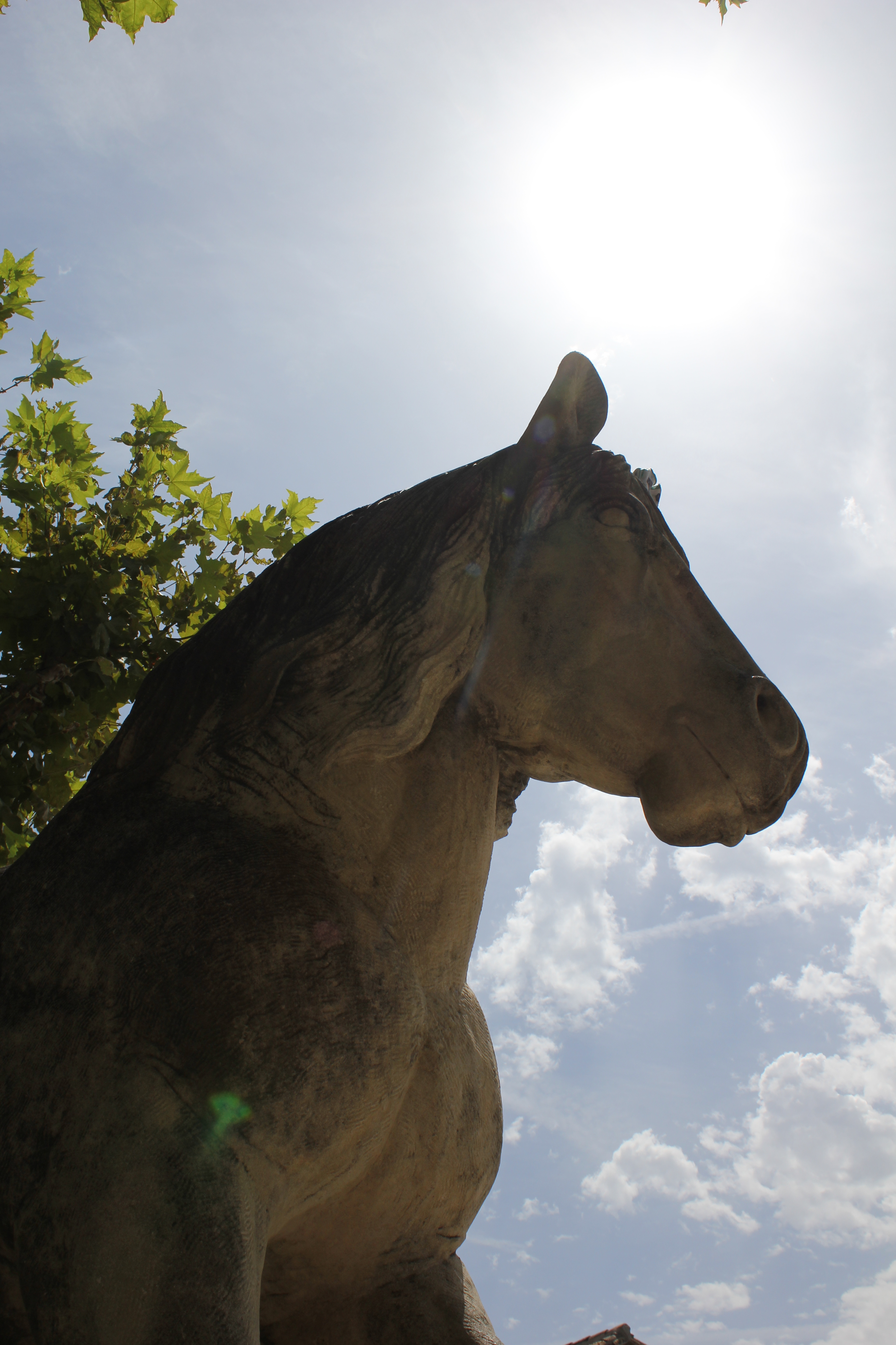 Le monument du Cheval, Mollégès - photo 3