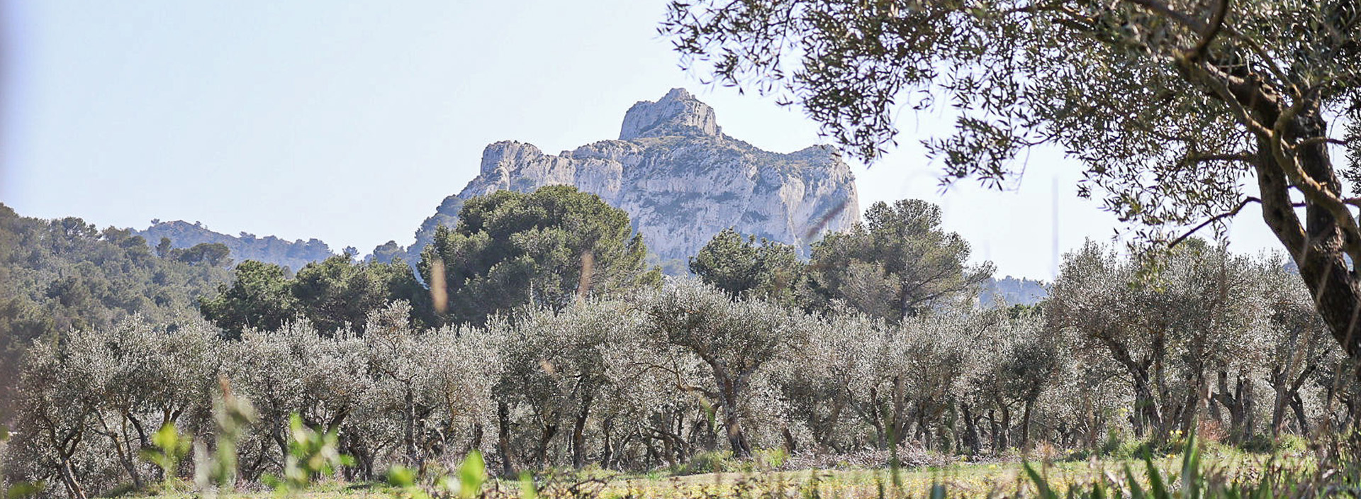 Site d'escalade de Saint-Rémy-de-Provence - Mont Gaussier - Balcon du sniper