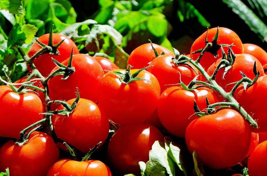 Marché hebdomadaire de  Montemboeuf