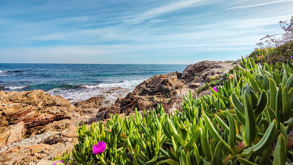 sentier du littoral aux Issambres 2