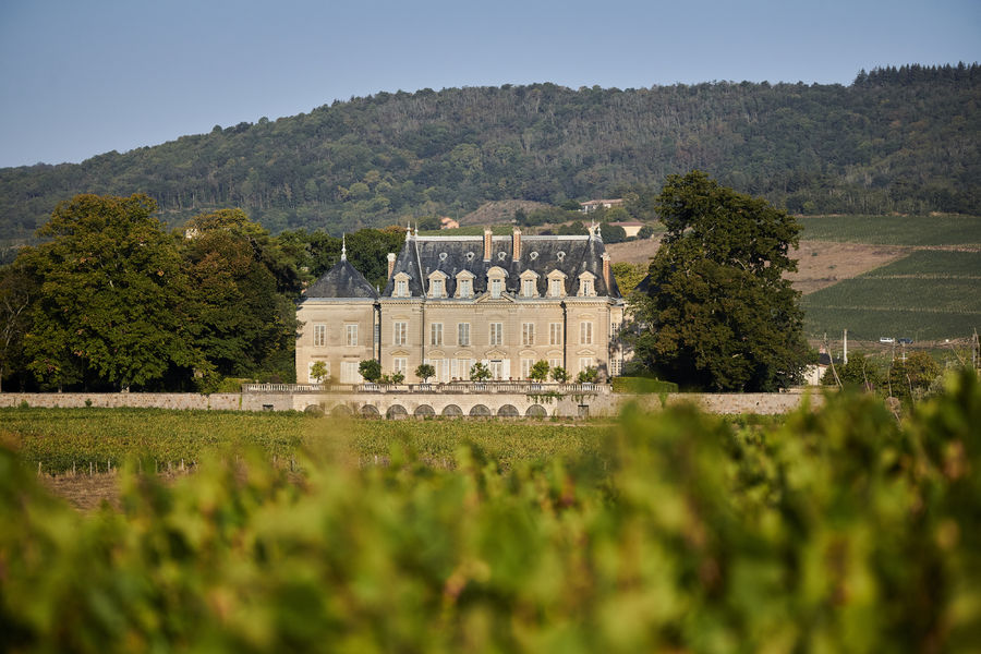 Château de Nervers - Vignes et Château