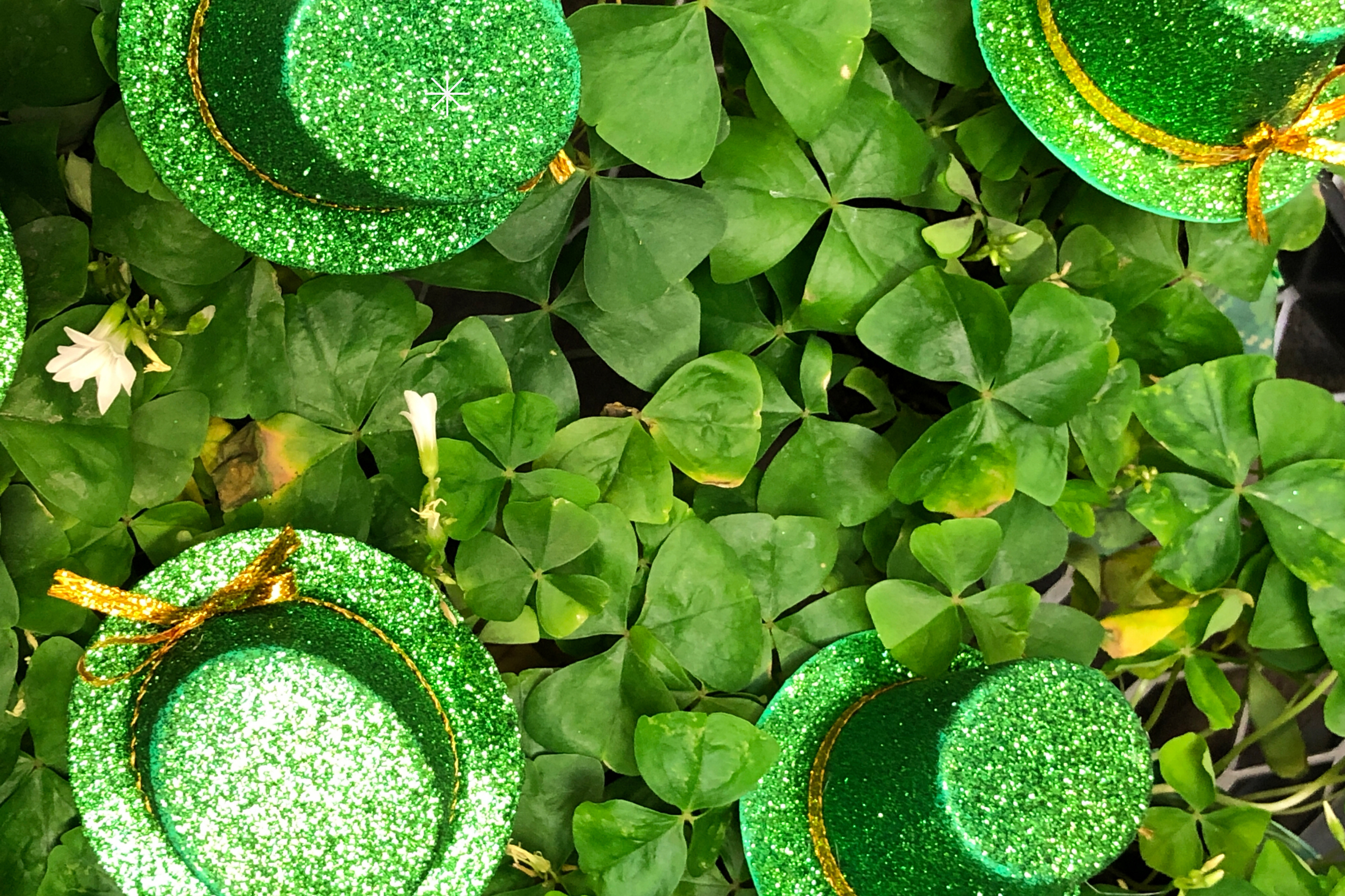 Fête de la Saint Patrick