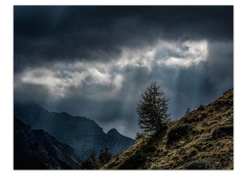  - © @TALLARTDPHOTOCLUB