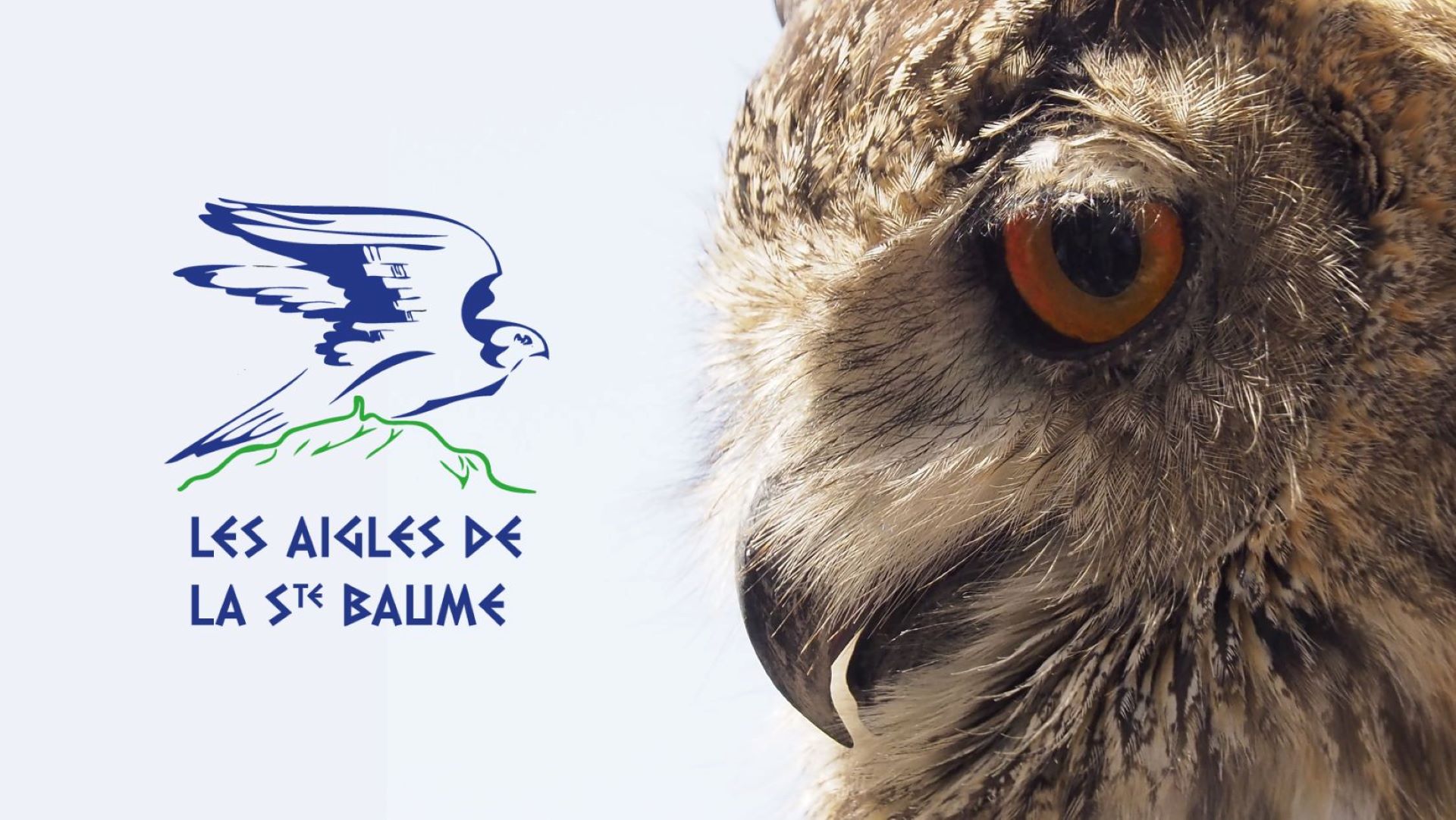 Fauconnerie Aigles de la Sainte-Baume