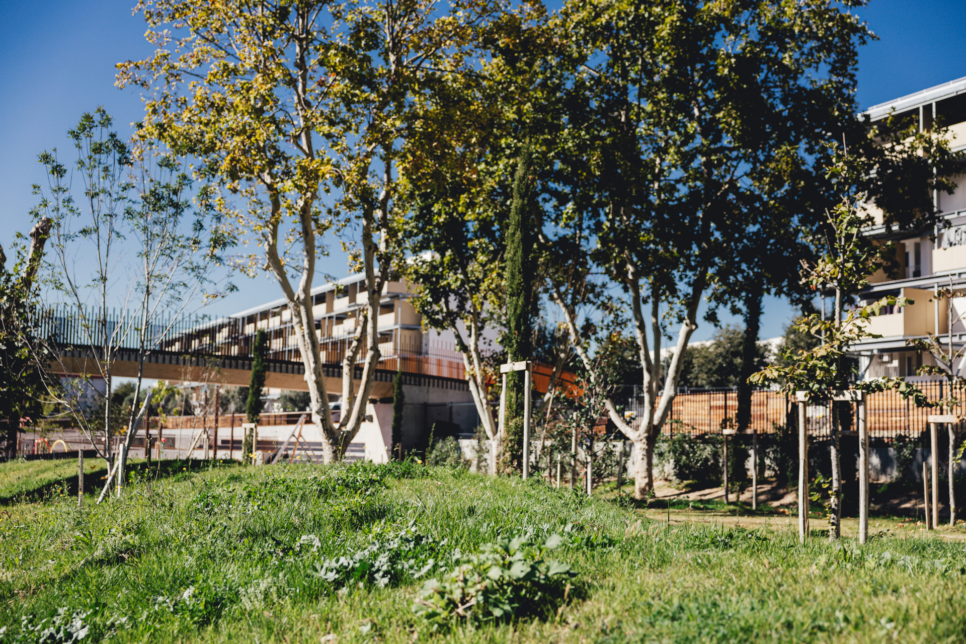 Plaine des sports et loisirs de la Busserine