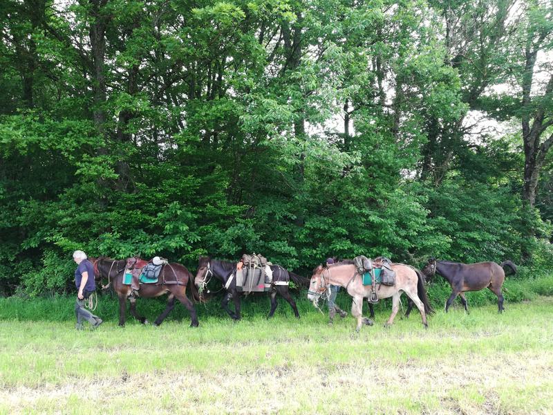 Circuit Bièvre Chambaran
