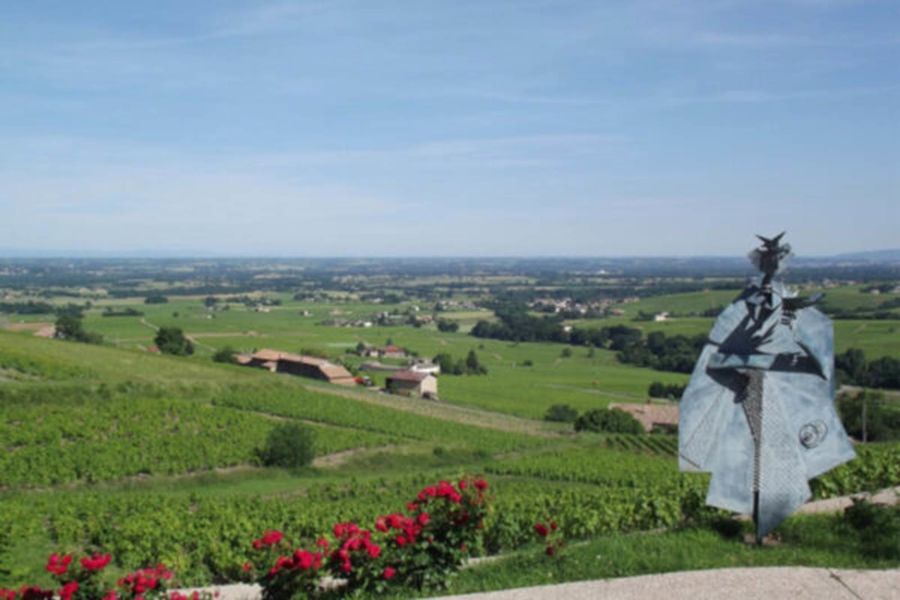 Balade à gyropode au Mt Brouilly