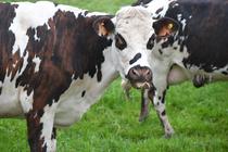 Visite de la ferme de Monnichard_Saint-Héand