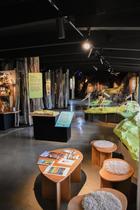Muséogragphie Maison naturelle de la réserve
