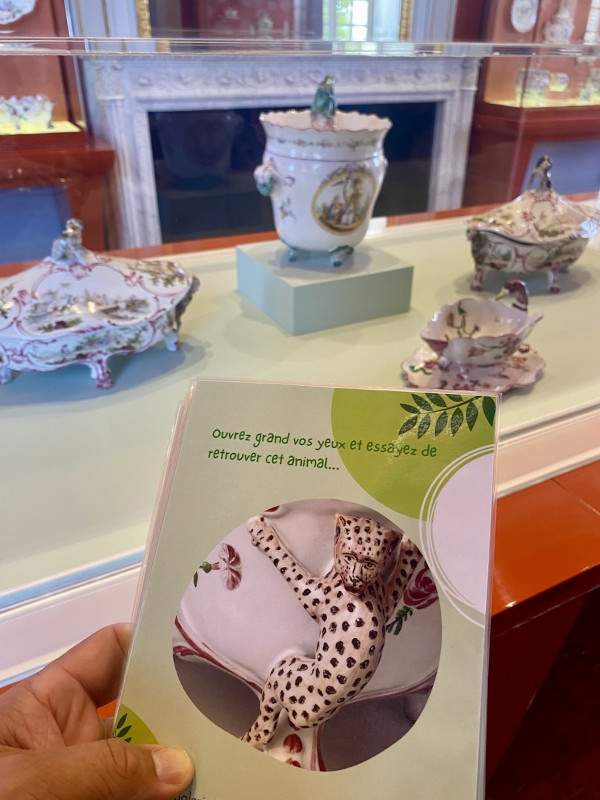 Visites animées "Safari bleu"