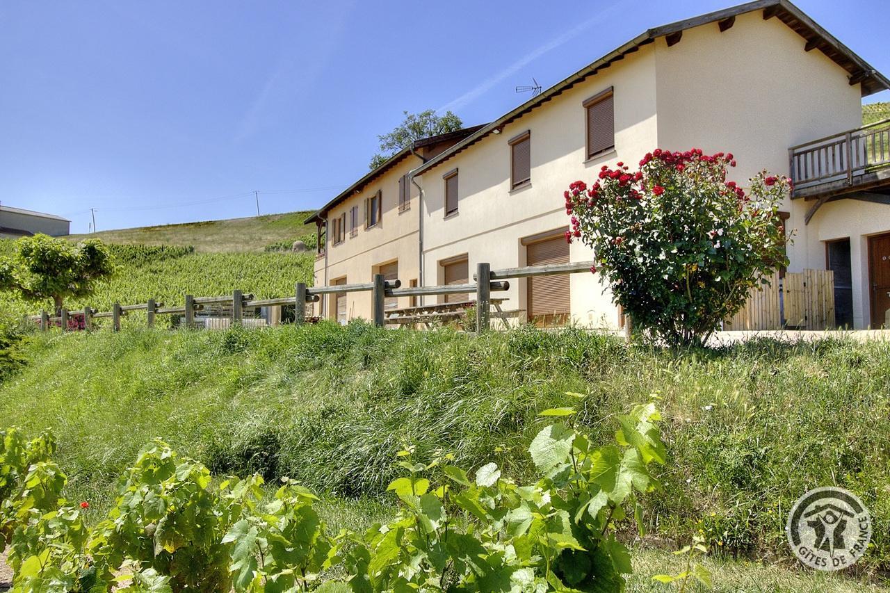 Grand Gîte - 12 personnes -