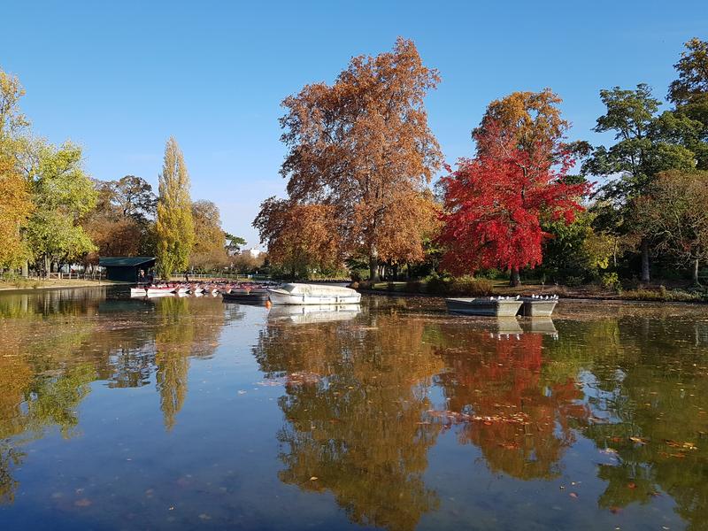 Le lac Daumesnil en automne 