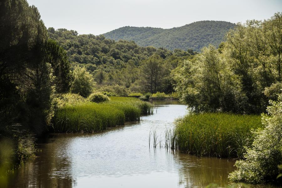 Lac Château Pas du Cerf