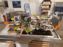 Supermarché Utile Marina Baie des Anges - Villeneuve-Loubet