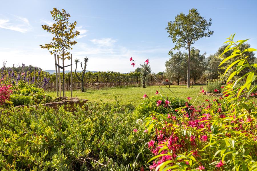 Location saisonnière à Cuers