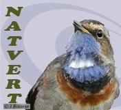 Conférence Natvert