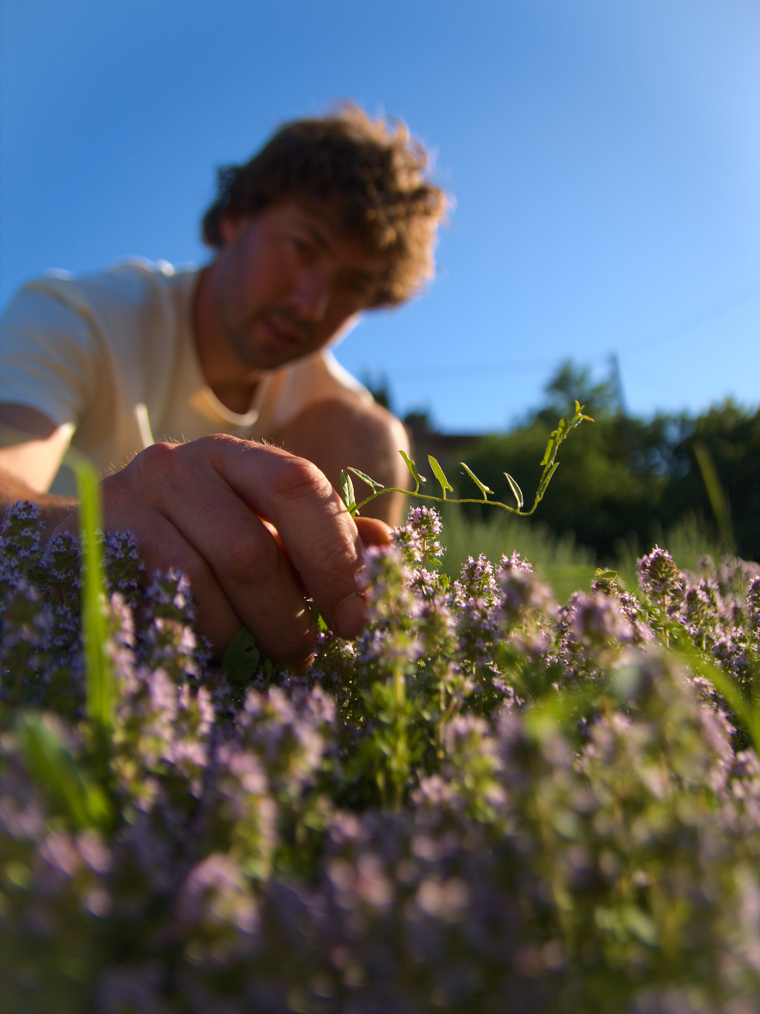 Distillerie Garagaï - photo 5