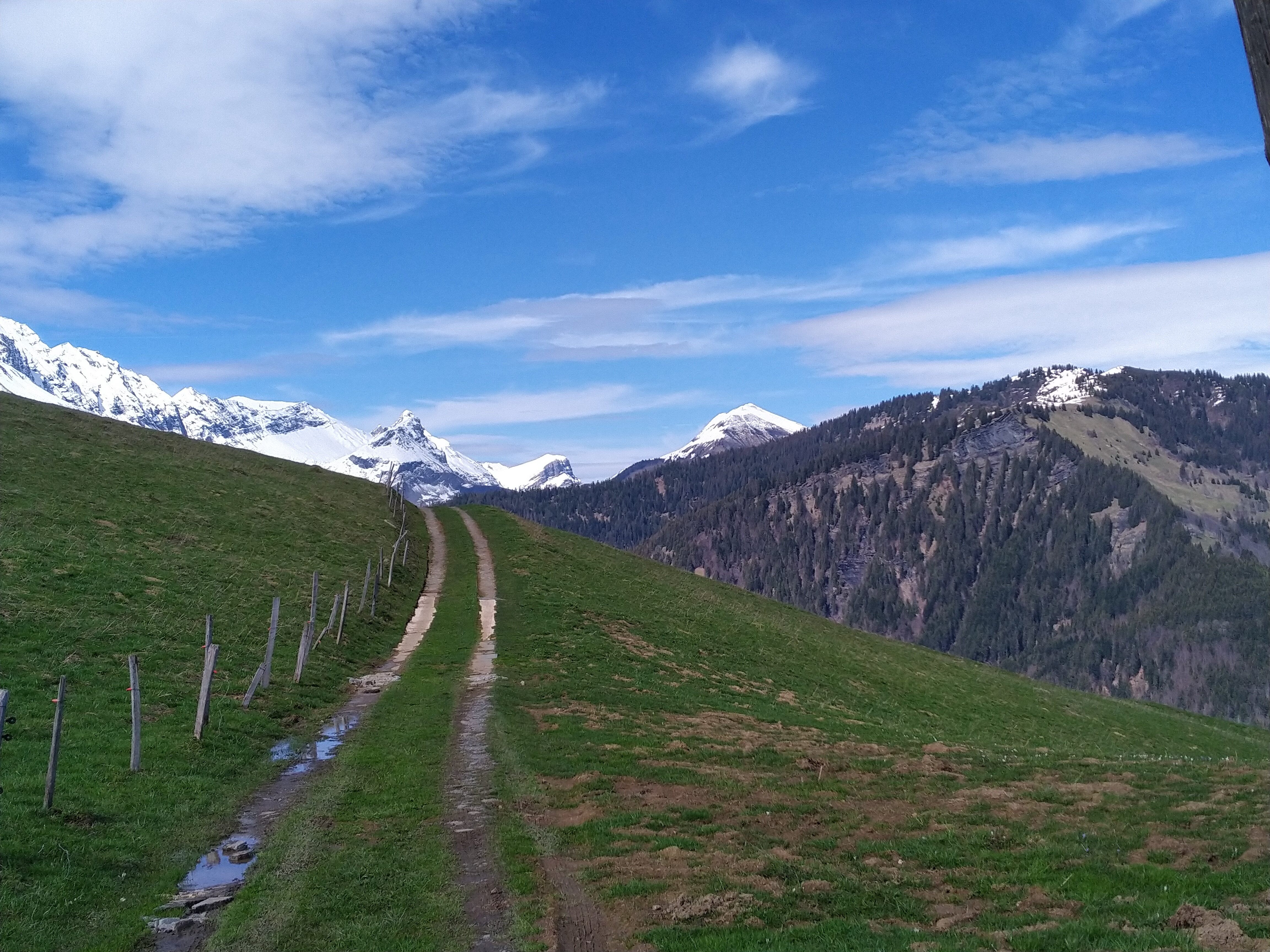 Randonnée Sportive