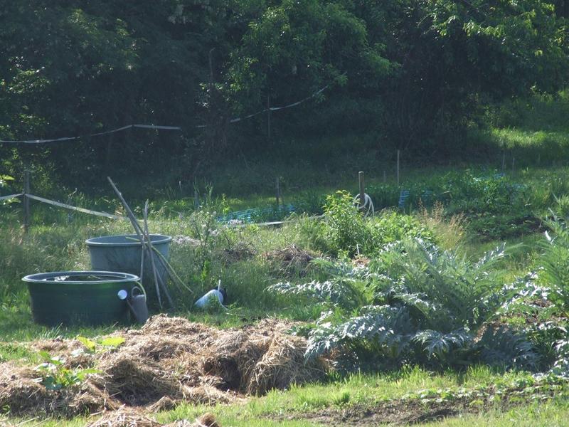 La ferme de la Grange du Haut_Saint-Antoine-l'Abbaye