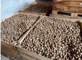De Ferme en Ferme - La Ferme des Fourniers_Luc-en-Diois