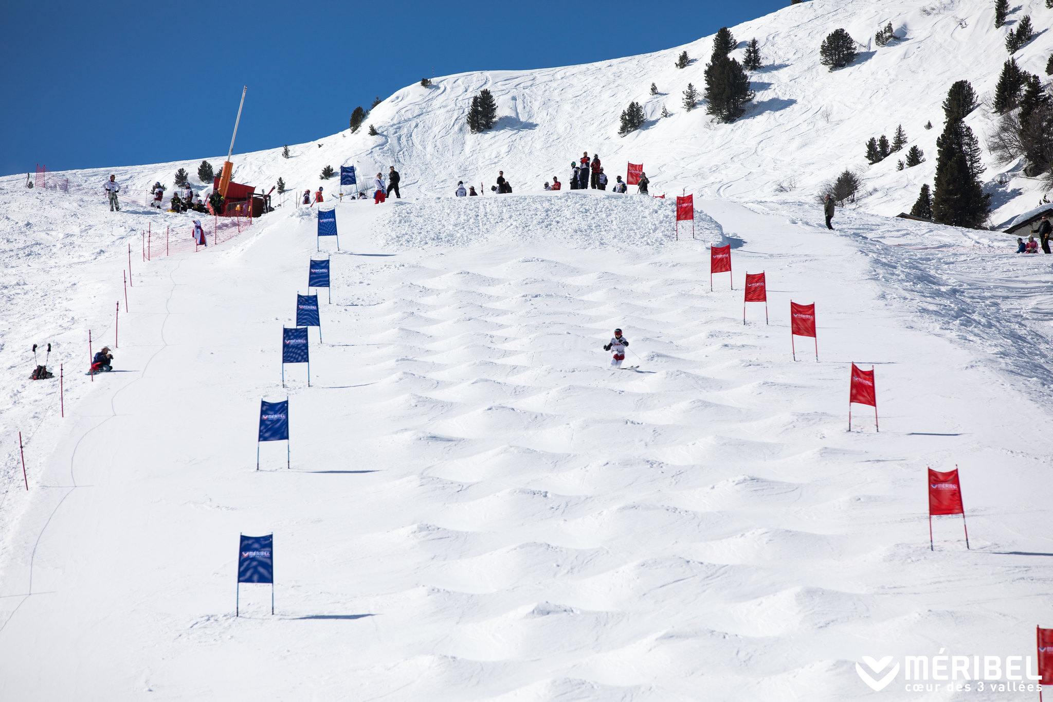 French mogul ski Cup